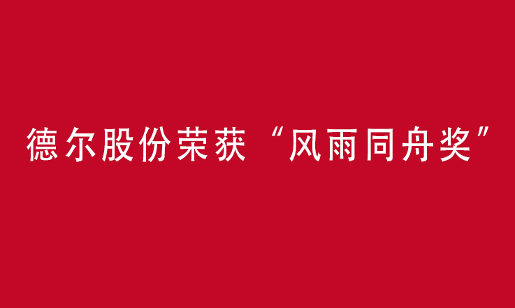 阜新德爾汽車部件股份有限公司榮獲“風(fēng)雨同舟獎(jiǎng)”