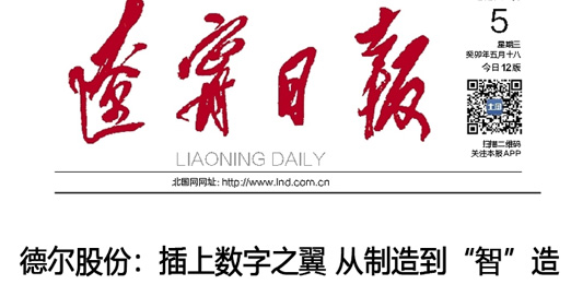 《遼寧日報》報道丨德爾股份：插上數(shù)字之翼 從制造到“智”造